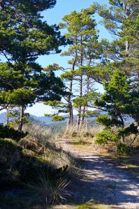 Whalen Island Trail