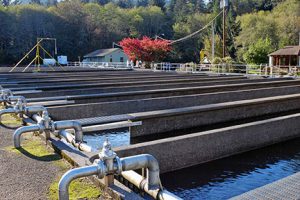 Nehalem Fish Hatchery