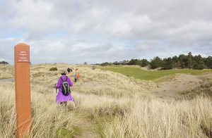 a hiker threads through shimmering beach grass on the Bandon Dunes Golf Resort trail system; A hand-hewn bench and rustic fence are the highlights of a vista point along the trail.
