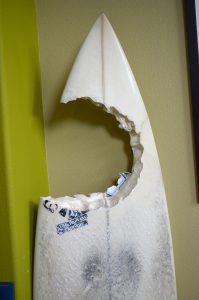 White shark bite on surfboard owned by Bobby Gumm.