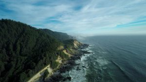 Cape Perpetua