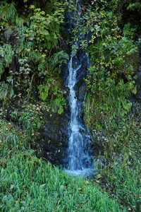 Waterfall, Lower Nehalem Road